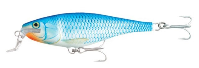 RAPALA SHALLOW SHAD RAP SSR14 BSH RAPALA SHALLOW SHAD RAP SSR14 BSH