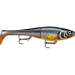 RAPALA X-RAP PETO 14